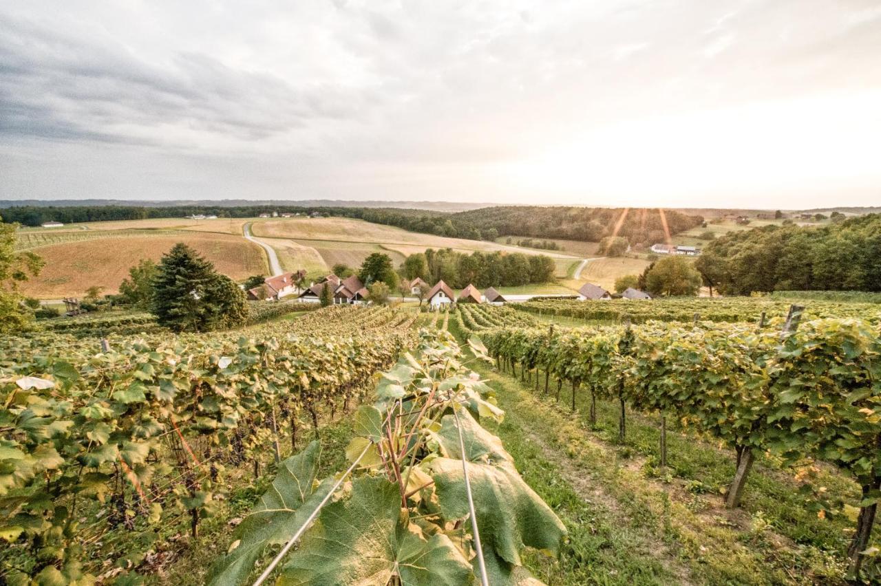 Wiener Kellerstoeckl - Das 13Er Eltendorf Exteriér fotografie